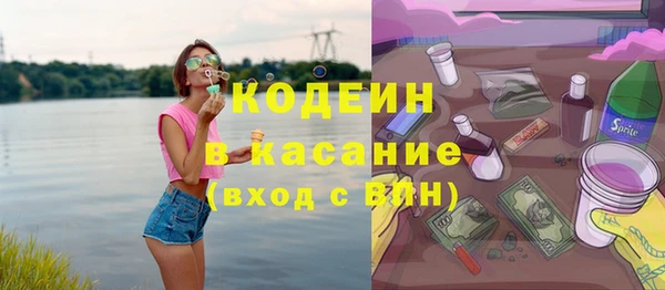 сатива Инта