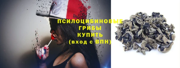 сатива Инта