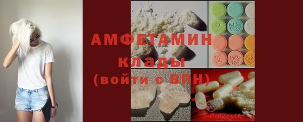 сатива Инта