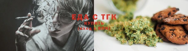 сатива Инта