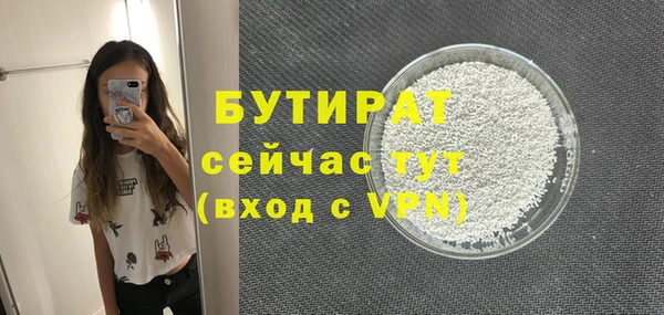 сатива Инта