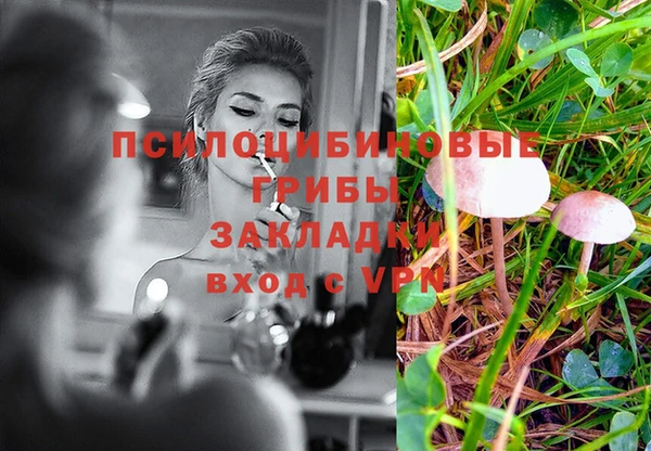 прущая мука Иннополис
