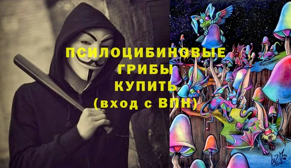 COCAINE Инсар