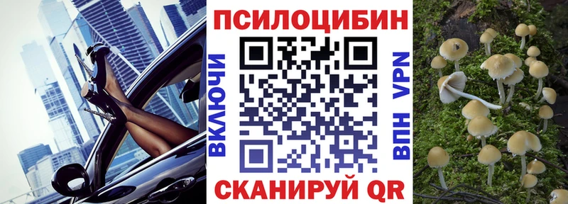 Купить где  Завитинск  Галлюциногенные грибы мицелий 