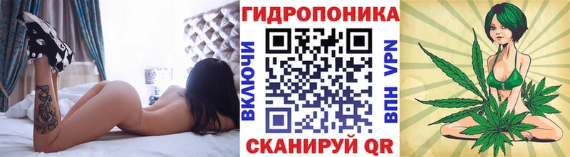 Марихуана ГИДРОПОН  Купить  Завитинск 